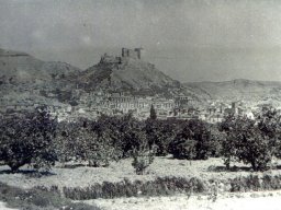 Mula Antigua serie-2